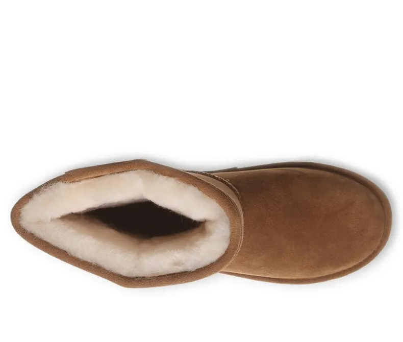 Boots & Booties|Cozy>Bearpaw Women's Elle Short Winter Boots