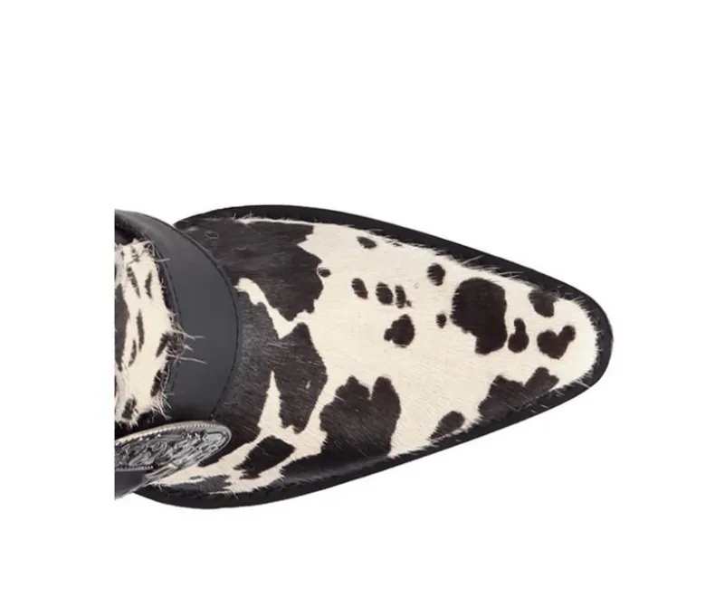 Tall|Cowboy & Western>Dingo Boot Women's Spur Crazy Western Boots