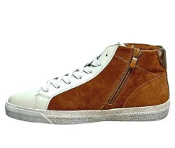 High Top><noscript><img width=